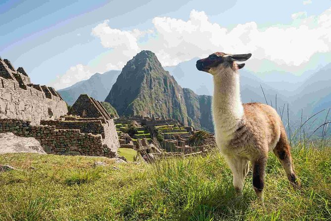 Excursion to MachuPicchu from Cusco with lunch | Private Service| - Arriving for Machu Picchu: the bus climb and the guided 2-hour visit