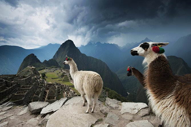 Excursion to MachuPicchu from Cusco with lunch | Private Service| - The early-morning start: how the Cusco-to-Machu Picchu machine works