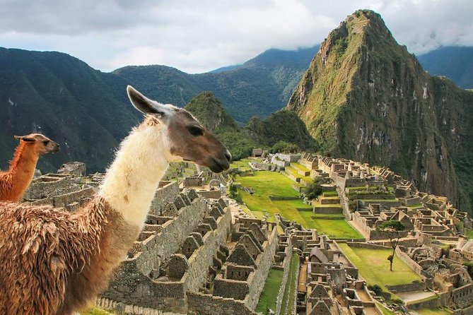 Excursion to MachuPicchu with Train Vistadome Full Day - Small Group Advantage: Why It’s Easier Than DIY