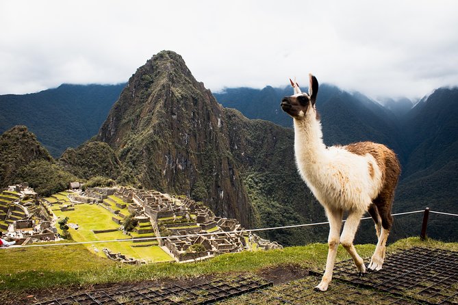 Excursion to MachuPicchu with Train Vistadome Full Day - Price and Value: Is $403.75 a Good Deal?