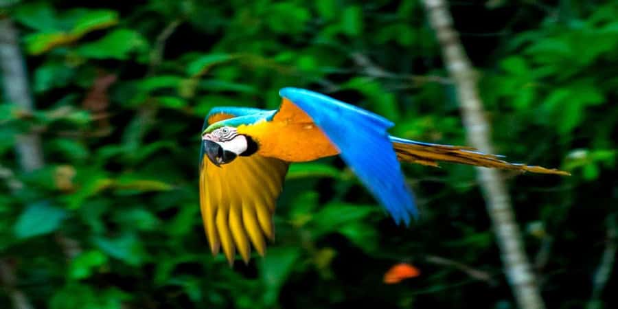 From Cusco: 4 Day Puerto Maldonado Sandoval Lake Excursion - Price and Value: What $430 Really Buys You