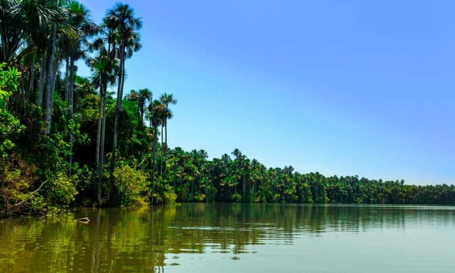 From Cusco: 4 Day Puerto Maldonado Sandoval Lake Excursion - Day 4 Machiguenga Community Visit and Your Return to Puerto Maldonado