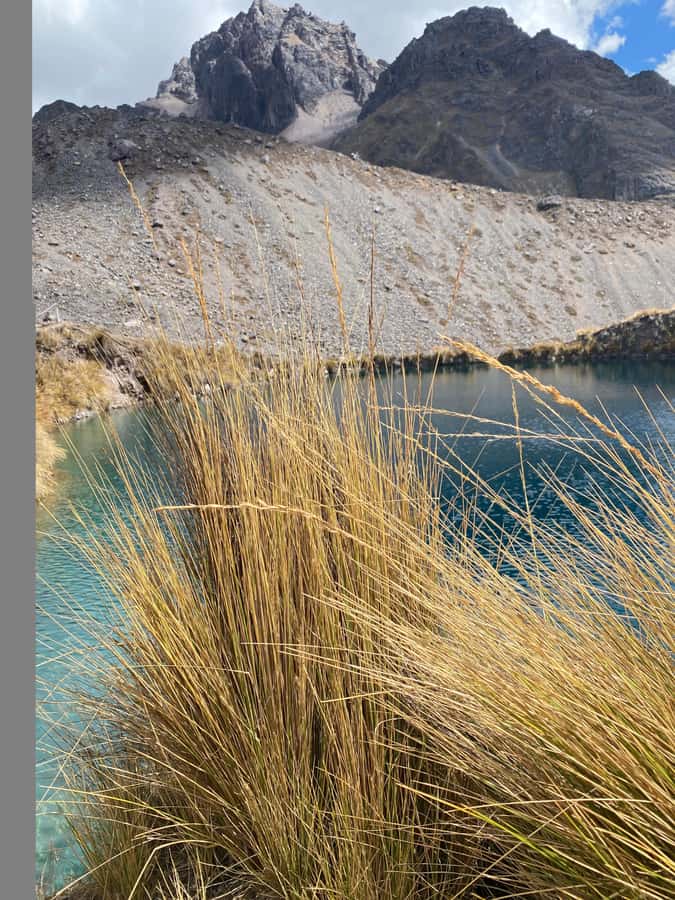 From Cusco: 7 lakes with hot springs in Ausangate and meals - Lunch at the Host Family: A Real Break Before the Optional Hot Springs