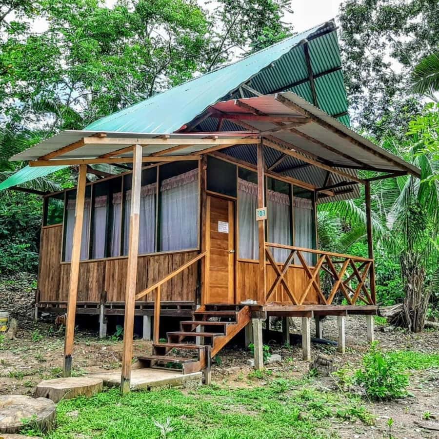 From Cusco: Amazon jungle for two days with sleeper bus and private lodge - Food, guides, and the small-group advantage