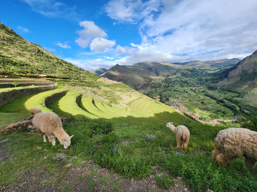 From Cusco: Chinchero, Moray, Maras, Ollantaytambo and Pisaq - What to Bring (So the Day Doesn’t Beat You First)