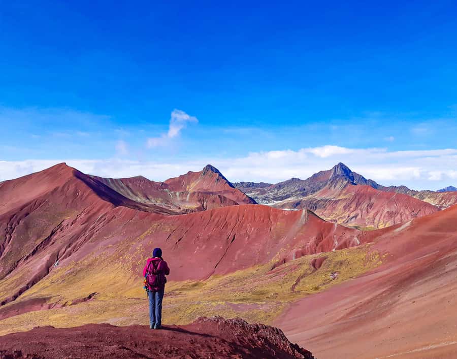 From Cusco: Full Day Rainbow Mountain + Red Valley | PRIVATE - Rainbow Mountain summit time: exploring for about an hour