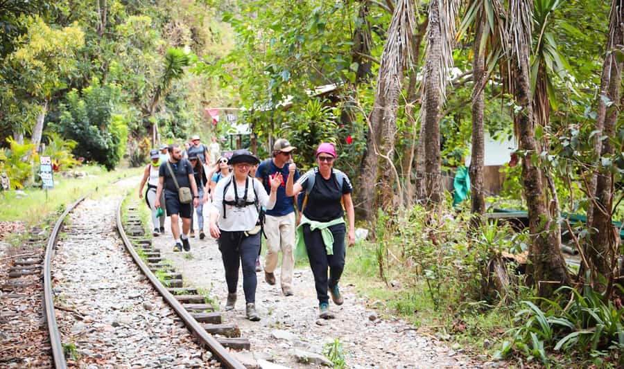 From Cusco: Full-Day Round-Trip Train Tour to Machu Picchu - Key highlights worth your attention
