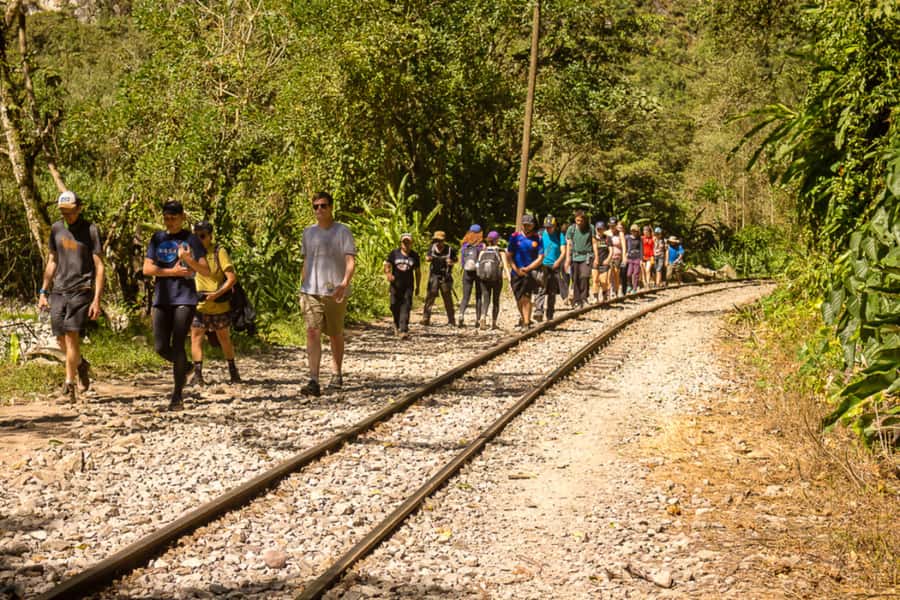 From Cusco: Full-Day Round-Trip Train Tour to Machu Picchu - A one-day Cusco-to-Machu Picchu plan that actually works
