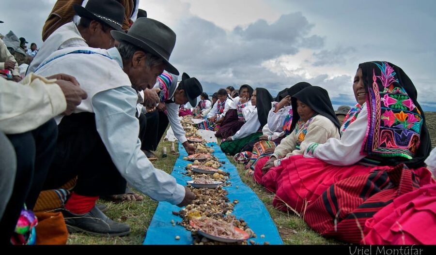 From Cusco: Lake Titicaca, Uros and Amantani by sleeper bus - What the guide actually adds (and what to expect)