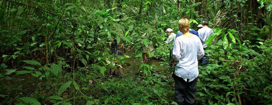 From Cusco: Manu National Park 3 Day Tour - Key things I’d plan around