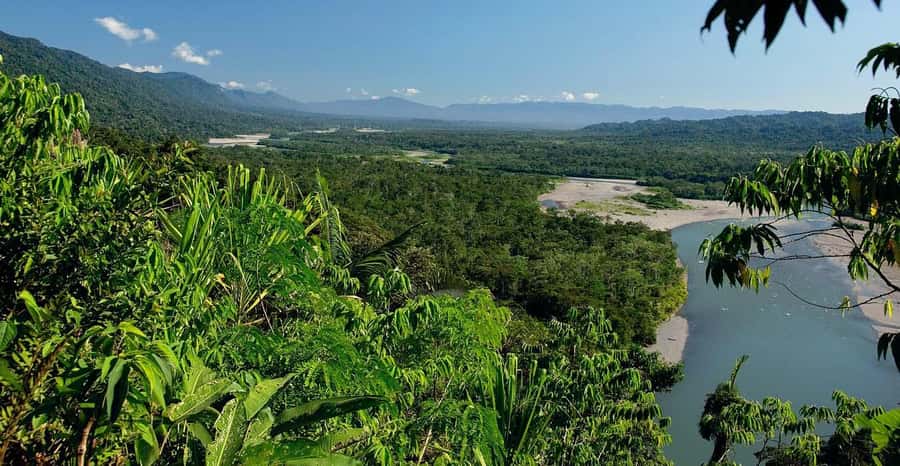 From Cusco: Manu National Park 3 Day Tour - Should You Book This Manu National Park 3-Day Tour?