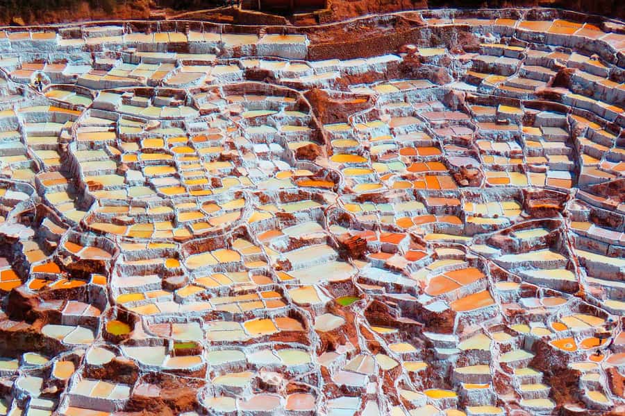From Cusco: Maras Salt Mines and Moray Half-Day Tour - Small group guide energy: what the best guides do