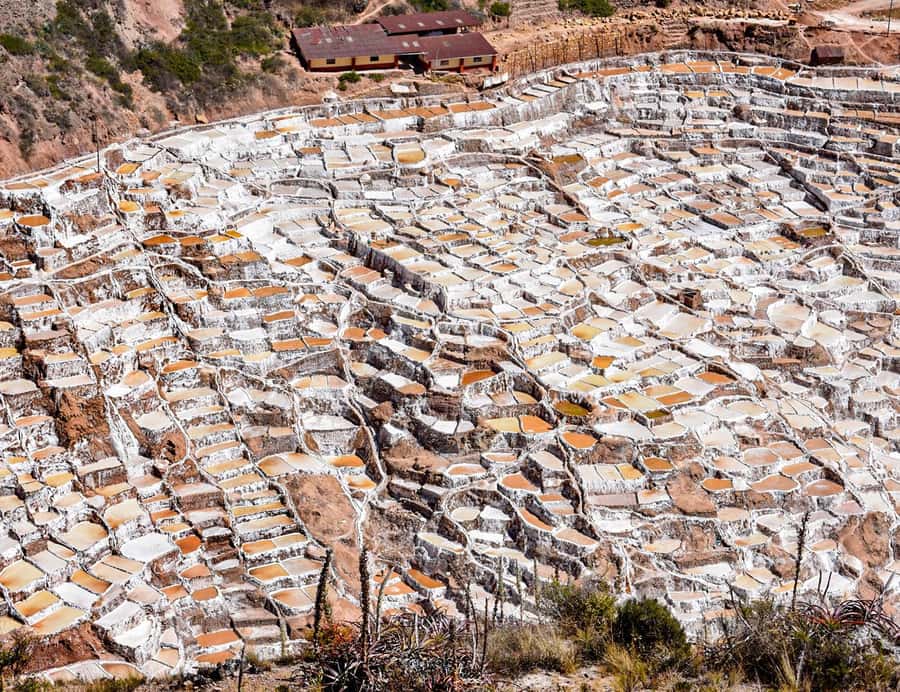 From Cusco: Moray, Maras Salt Mines & Chinchero Weavers Tour - Pace and timing: how the 390 minutes usually feel