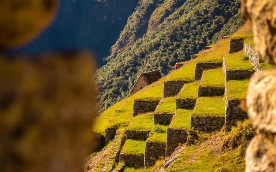 From Cusco: One-Day Round Trip to Machu Picchu by Train - Free Time for Photos and Exploration: Don’t Rush It