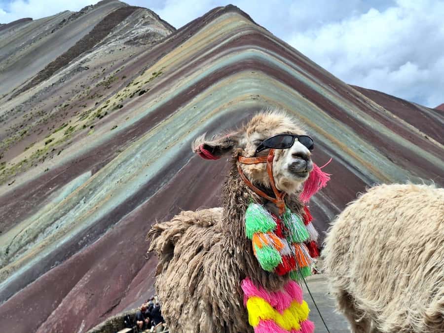 From cusco: Rainbow Mountain ATV Tour with meals - Price and Real Value: What $65 Covers (and What Costs Extra)