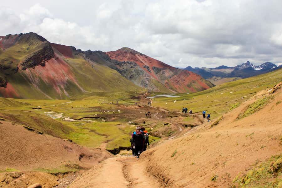 From Cusco: Rainbow Mountain Trek - The Main Trek: Ausangate Views, Red Mountains, and Herd Time