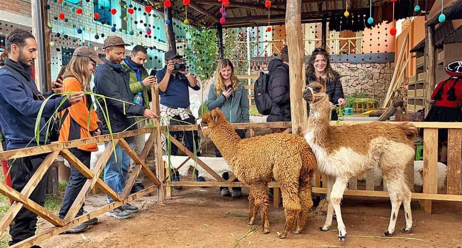 From Cusco: Sacred Valley & Maras Salt Mines Tour with Lunch - A 6:00 AM start that helps you dodge the crowds