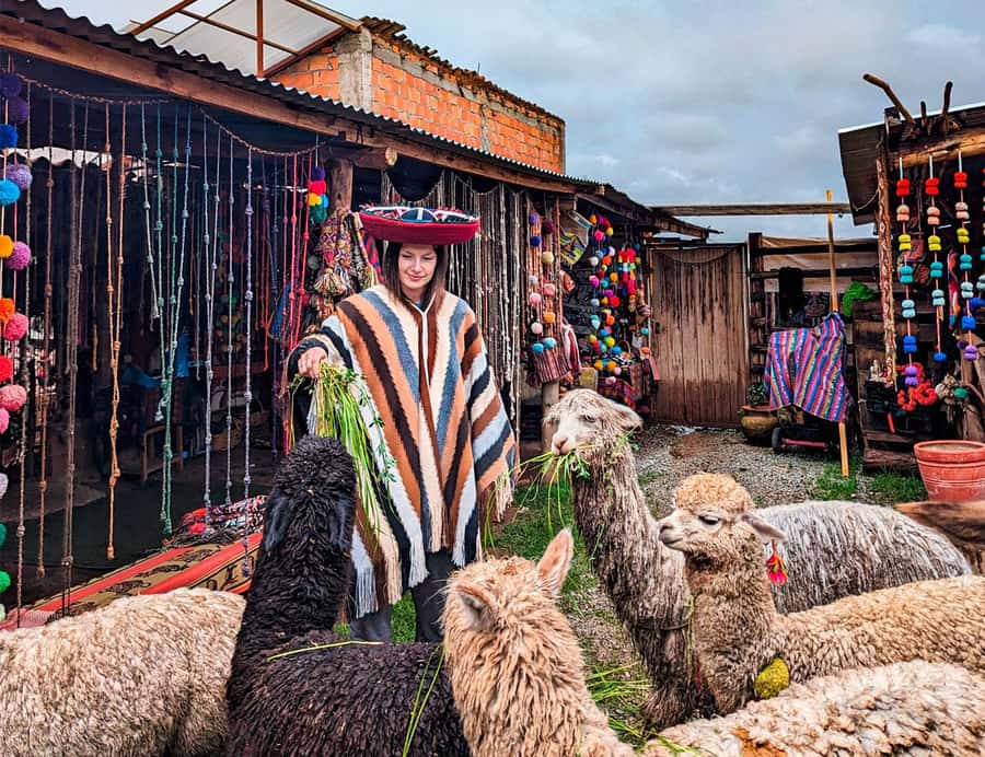 From Cusco: Sacred Valley & Moray, Salt Mines with Lunch - Maras Salt Mines: 5,000+ Ponds and a Food-Preserving Story