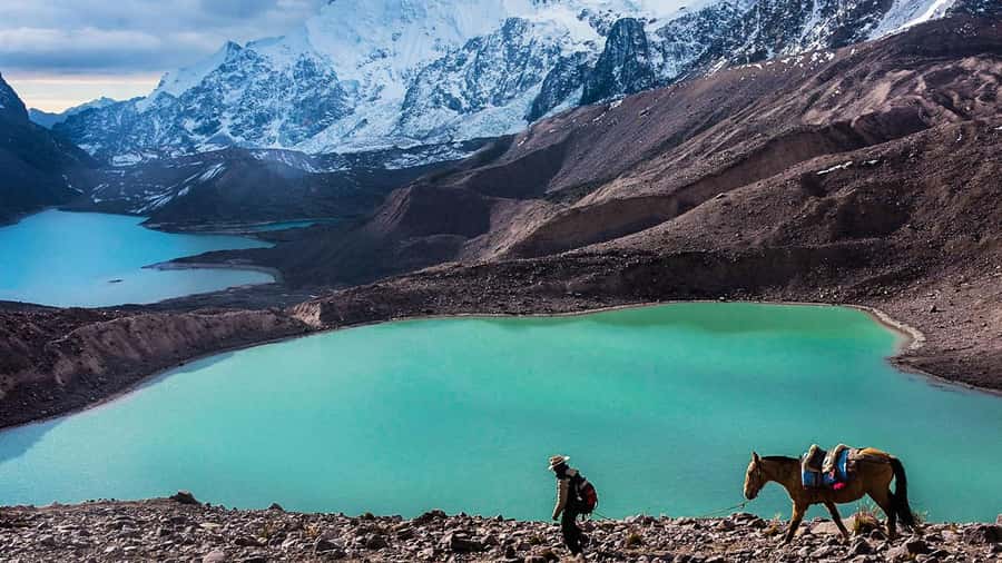 From Cusco: Salkantay trek 5 days/4 nights meals included - Key highlights that make this trek worth it