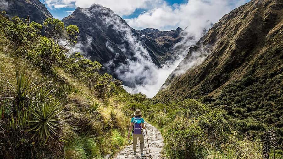 From Cusco: Salkantay trek 5 days/4 nights meals included - Fitness reality check: you’ll want strong legs and good timing