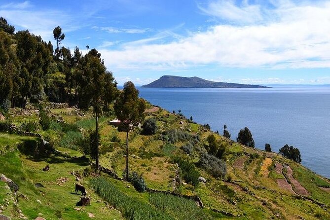From Cusco to Lake Titicaca: 2-Day Homestay Tour - Cusco to Puno: the overnight bus that shapes the whole trip