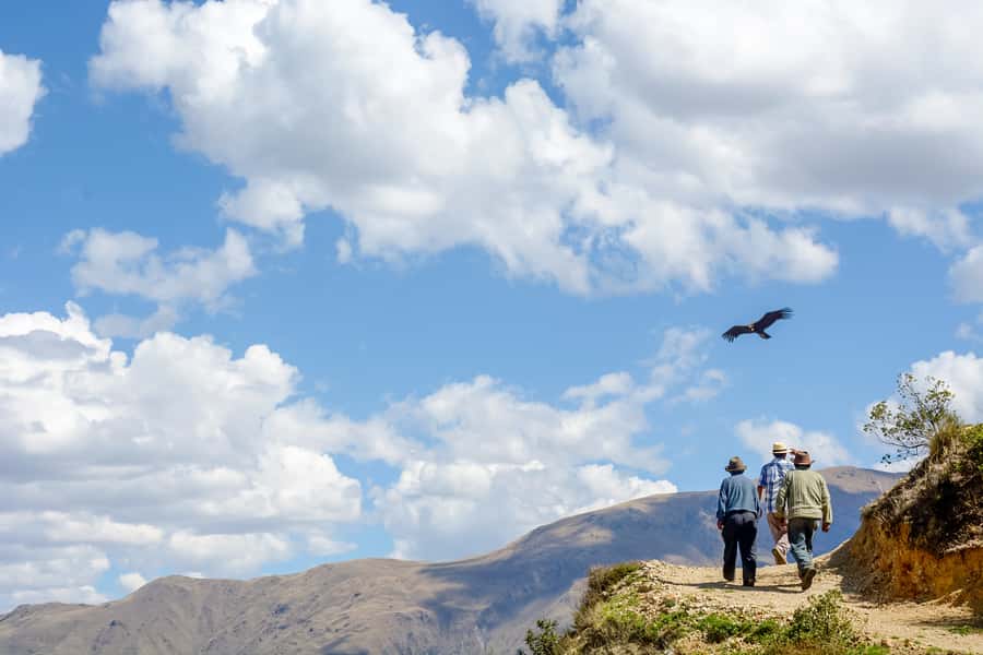 Full-Day Condor Viewpoint & Inca Sites Tour - Quillarumiyoc and Tarawasi: Inca ceremonial places tied to the sky