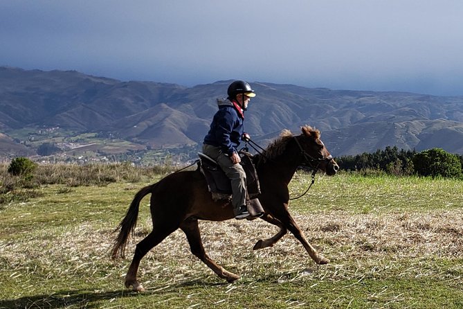 Half day Horseback Riding tour around Sacsayhuaman park - Temple of the Moon and sacred Inca spots you’ll see from the saddle