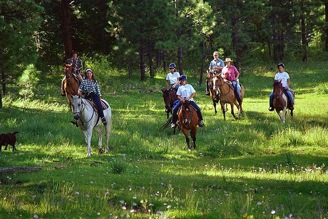 Horseback Riding Plus Tour to Sacsayhuaman, Quenqo, Puka Pucara and Tambomachay - Sacsayhuaman first: how the day starts with big-picture Inca meaning