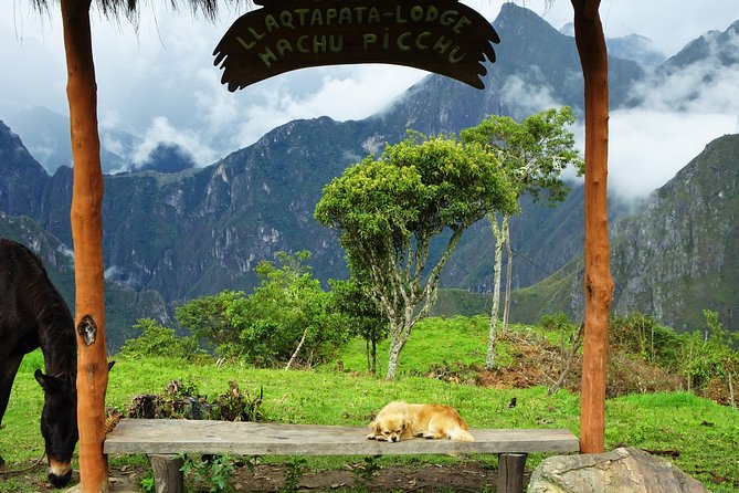 Inca Jungle Premium to Machu Picchu 4-Day and 3-Nights - Cusco to Machu Picchu the Long Way (On Purpose)