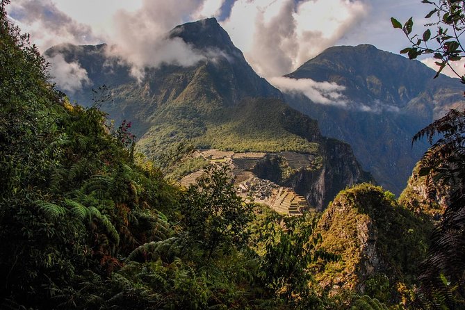 Inca Jungle Premium to Machu Picchu 4-Day and 3-Nights - Day 4: Sunrise Chance, Guided Machu Picchu Time, Then Back to Cusco