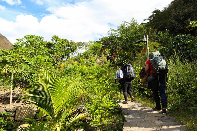 Inca Jungle Premium to Machu Picchu 4-Day and 3-Nights - Small Group Comfort: Why Max 15 Changes the Feel of the Trip