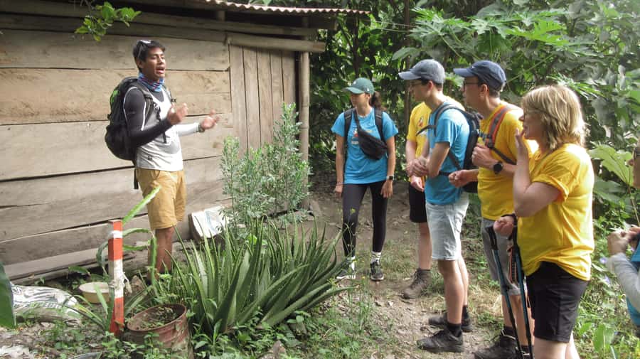 Inca Jungle Trail to Machu Picchu in 4 Days - Day 2 Santa María to Santa Teresa: Coffee, Coca, and the Baths