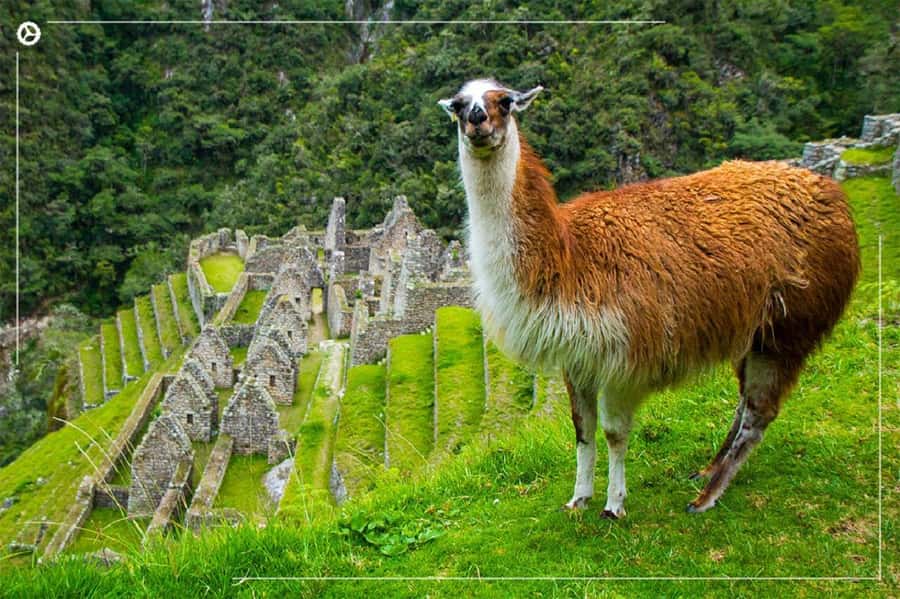 Inca Trail 2 days to Machu Picchu - Key points to know before you go