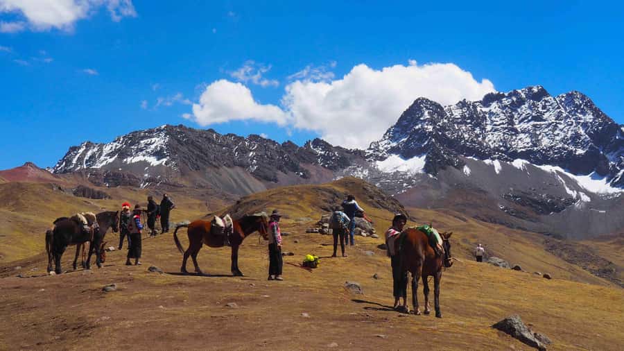 Lima: 7-Day Inca Tour with Flights and Machu Picchu - Key things that matter most on this tour
