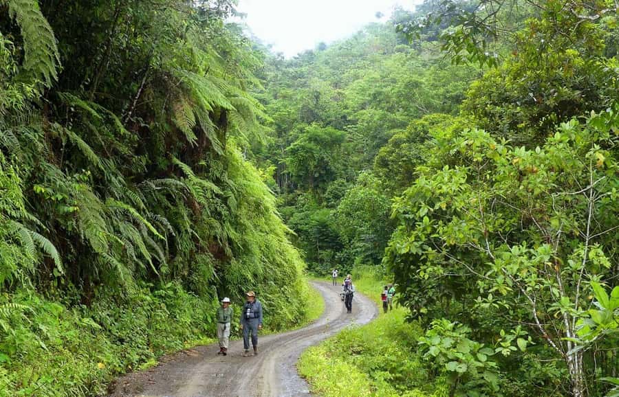 Living Nature from Cusco: 3 Days Manu Jungle all inclusive - Day 1: Cusco to Cloud Forest, Lupaca Pre-Inca Tombs, and Paucartambo