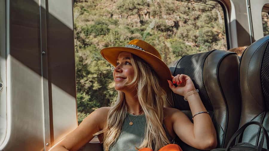 Machu Picchu: 1-day tour by Vistadome Observatory train - Who this Machu Picchu 1-day train tour fits best