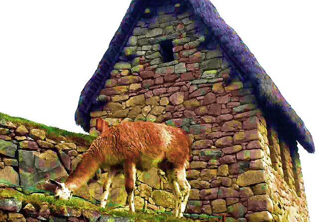 Machu Picchu 1 Day Tour from Cusco by Train - Price and logistics: does $355 feel worth it?
