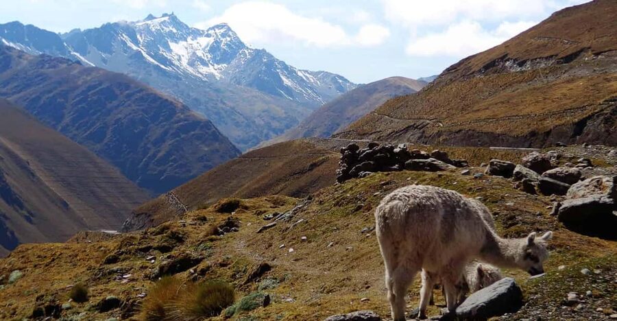 Machu Picchu 2 Days / 1 Night (By Bus) - Inside Machu Picchu: the ~2-hour private guide tour
