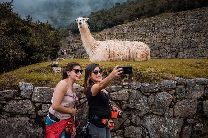 Machu Picchu Day Trip from Cusco - Train choice makes or breaks the morning: Expedition vs Vistadome vs Executive