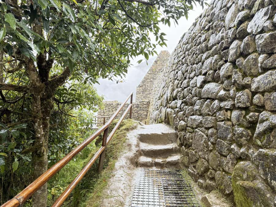 Machu Picchu Entry Ticket and Bus from Aguas Calientes - What You Need to Bring (and What Gets You Turned Away)