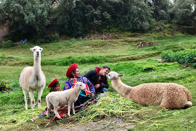 Machu Picchu Full Day from Cusco - Who should book this Machu Picchu full day from Cusco?