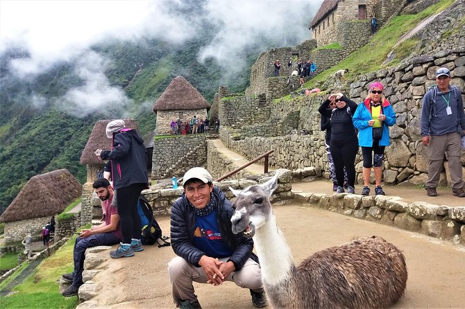 Machu Picchu full day trip from Cusco - Price and value: Why $490 can make sense for Machu Picchu day logistics