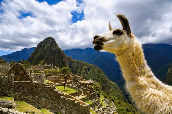 Machu Picchu Full Day with lunch by Aludi Travel - Cusco to Machu Picchu: how the day is paced