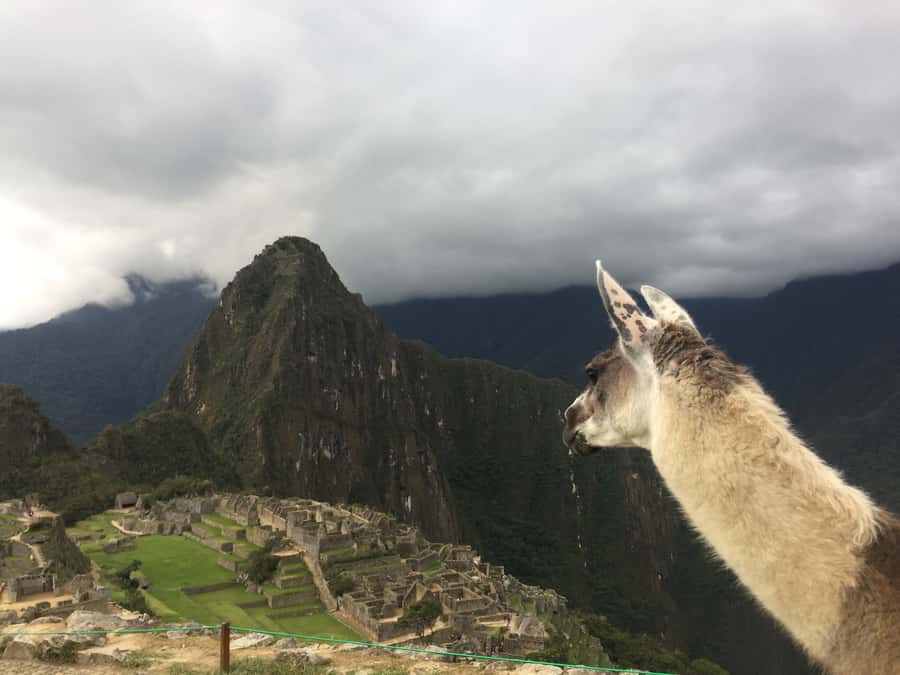 Machu Picchu: Private Tour Guide Service - Practical Packing for Machu Picchu Weather and Routines