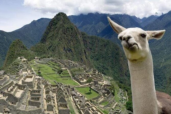 Machu Picchu Small Group Day Tour from Cusco - The return trip: bus down, train back, Cusco hotel waiting