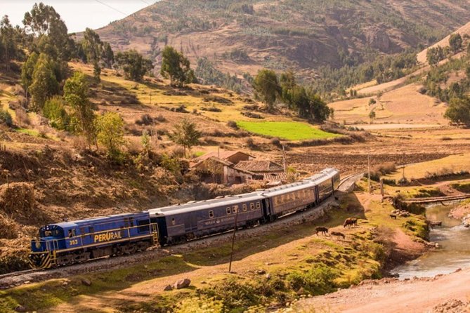 Machu Picchu Tour By Train (2 Days) - Who This Tour Fits Best (And Who Should Think Twice)