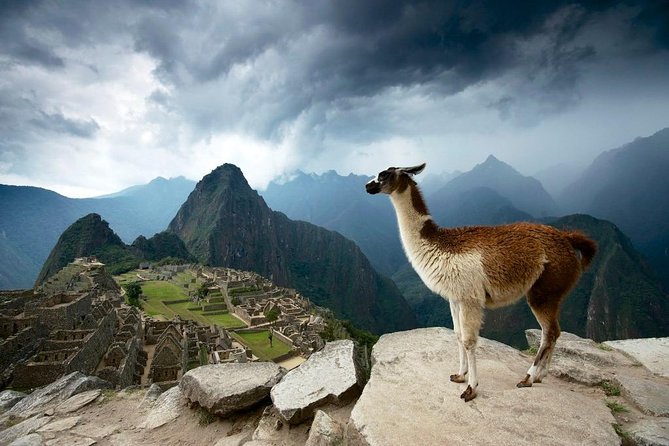 MachuPicchu Private Full Day Tour by Vistadome train from Cusco - A 5:00 AM departure that actually helps