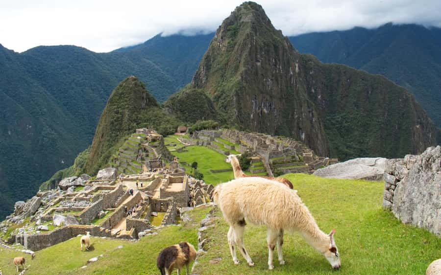 Machupicchu tour by tourist train in 2 days - Price and value: what $345 gets you (and what it doesn’t)