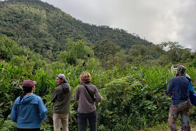 Manu National Park Tour 4days/3night - Eco-lodge nights: private rooms, mosquito nets, and wifi reality