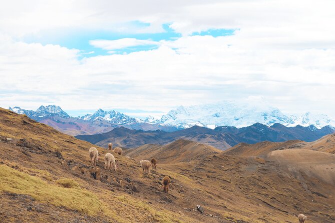 Palccoyo Rainbow Mountain Full Day Tour from Cusco - Nevado Ausangate (Auzangate): What the big mountain stop is really for